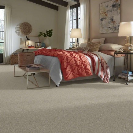 On Point Mimosa Carpet, 100% Stainmaster Sd Nylon Pet Protect