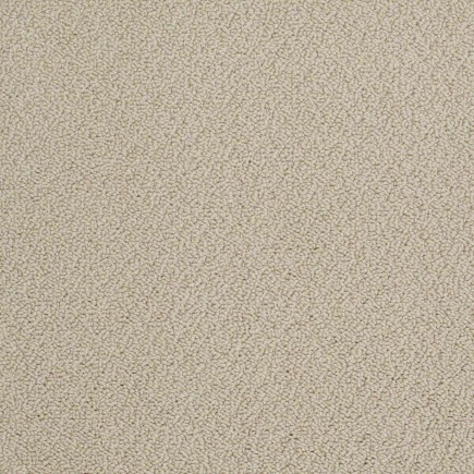 On Point Sandpiper Carpet, 100% Stainmaster Sd Nylon Pet Protect