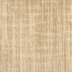 Novelty Beige Carpet, 100% Nylon