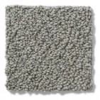 On Point Tundra Carpet, 100% Stainmaster Sd Nylon Pet Protect