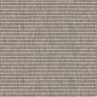 Pinnacle Pewter, 100% Polypropylene Carpet
