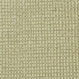 Polaris Oats, 100% Wool Carpet