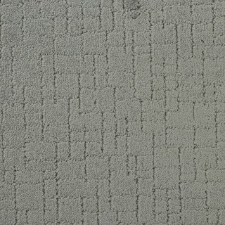 Tapestry Steel Wool, 100% Nylon 6,6 Fiber Carpet